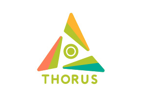 28-thorus